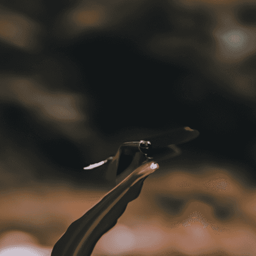 Tekanan Angin Ban Tidak Sesuai? Ini Risiko yang Mengintai